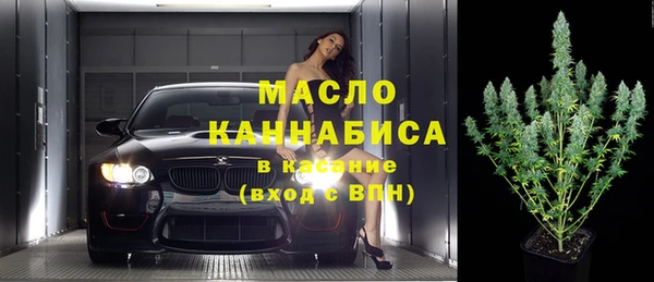 mdpv Каменногорск