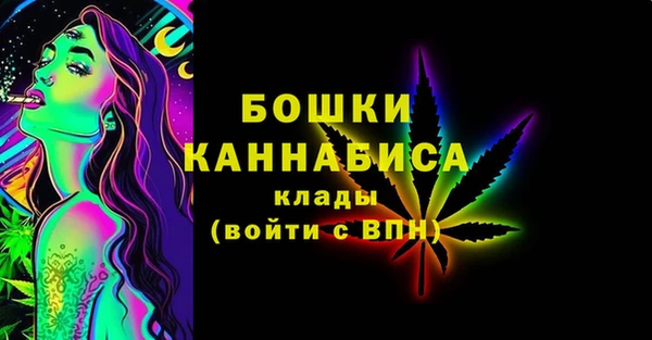 гашик Каменка
