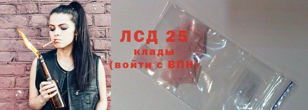 гашик Каменка