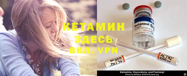 гашик Каменка