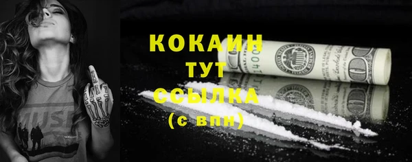 гашик Каменка