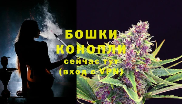 гашик Каменка