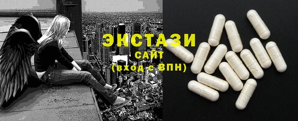 гашик Каменка