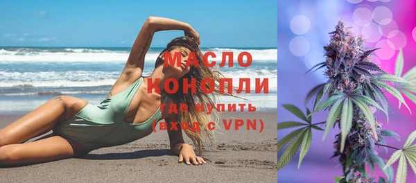 гашик Каменка