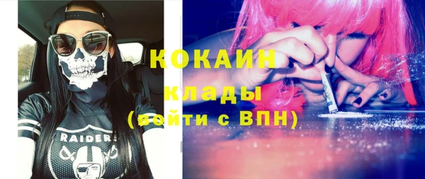 mdpv Каменногорск
