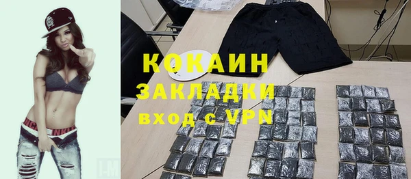 гашик Каменка