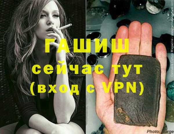 гашик Каменка