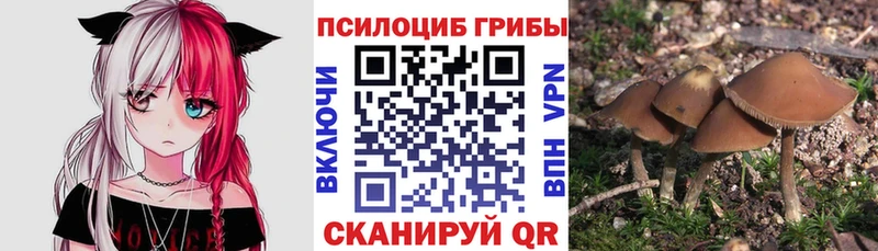 Купить  Дигора  Галлюциногенные грибы мицелий 